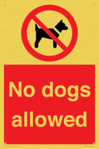 No dogs allowed